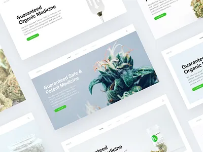E-commerce Website for Cannabis Software Provider branding cannabis clean e commerce ecommerce business interface landing medical marijuana minimal modern product saas service simple software ui ux website design weed zajno