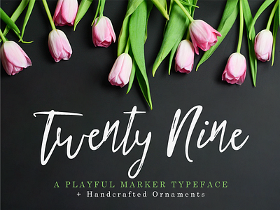 Twenty Nine Font brush font hand drawn lettering marker packaging type typeface typography