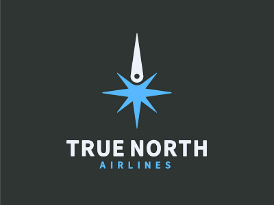 True North Airlines airline airplane aviation branding compass flight fly jet logo travel true north