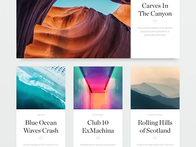 Photography Site cards photography portfolio ui ux web design