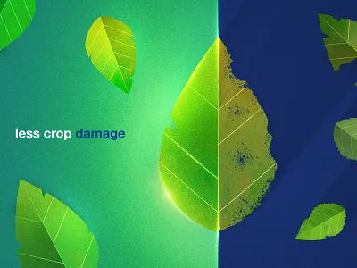 WIP Style Frame crops farm farms green leaf plants tree