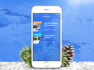 Nev-Dama agency android app holiday ios ski travel ui ux weather winter