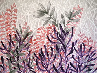 Succulent Forest botanical colored pencil drawing houseplants illustration nature plants succulents