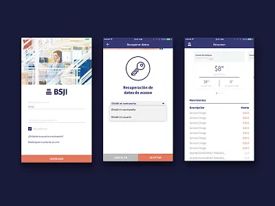 BSJI Mobile Experience app bank mobile money uiux