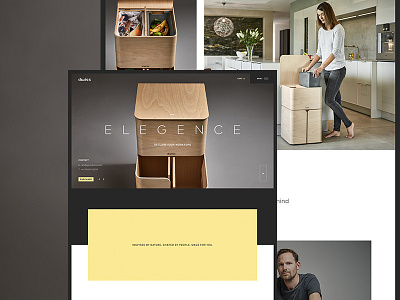 Dwiss branding home landing responsive ui ux web webdesign webpage