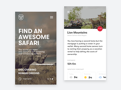 Safari Reviews dashboard financial startup informational graphic interface mobile money spent monthly graph responsive layout ui ux web website design