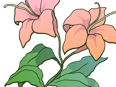 Vector Exploration illustration illustrator vectors