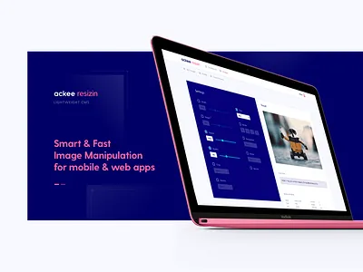 Ackee Resizin ackee air blue checkboxes cms dark microsite mockup pink resize server sliders