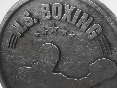 Ns Boxing V01 adobe branding c4d illusrator illustration logo photoshop