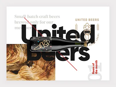 United Beers Design Concept beer branding brewing design development interface layout ui ux web webdesign website