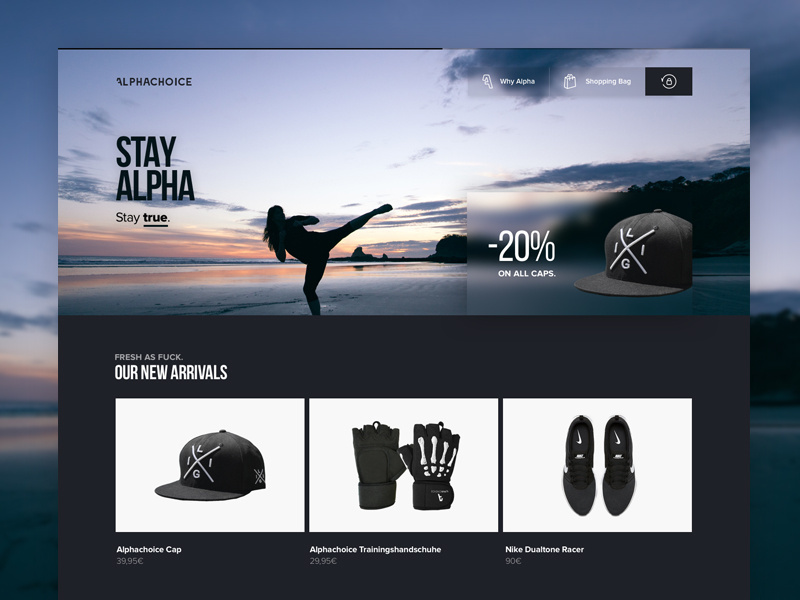 Example of Alphacoice - Product Catalogue [Dark Theme]