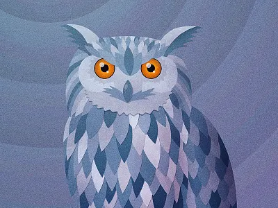 The Owl Stares bird illustration night owl stare