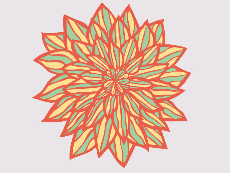Funky Fresh Flower 2d adobe design drawing flat freelance giff graphic design illustrator vector