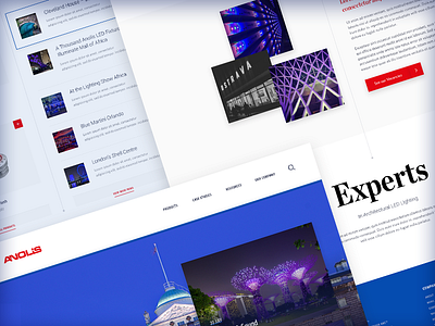 Anolis Landing Concept anolis experts landing light marketing redesign sans serif website