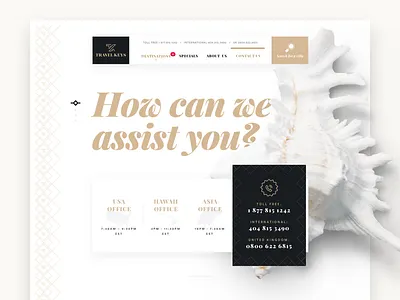 Contact page concept clean contact seashell travel website