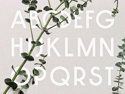 New Font Alphabet font font design sale type type design typeface typography