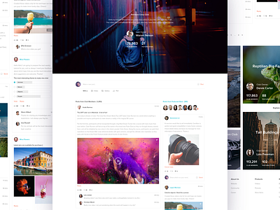 Video stock website - Club blog chat club comment gallery member photo picture post store video website