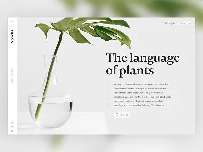 Novella Magazine Header / Day 07 clean header magazine minimal plant serif simple typography ui ux web design website