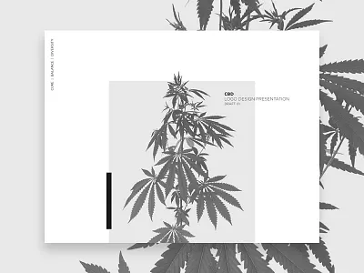 Branding Presentation brand design branding clean design custom logo dispensary branding logo logo design minimalist residence branding residence logo