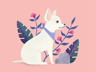 Chihuahua animal chihuahua dog flower nature tropical wild