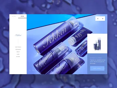 Fekkai Redesign Dribbble clean grid hero homepage