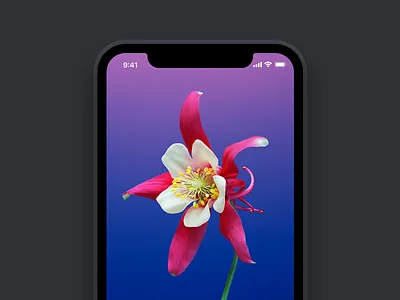 Simple iPhone X Mockup dark iphone iphonex minimal mockup simple sketch x