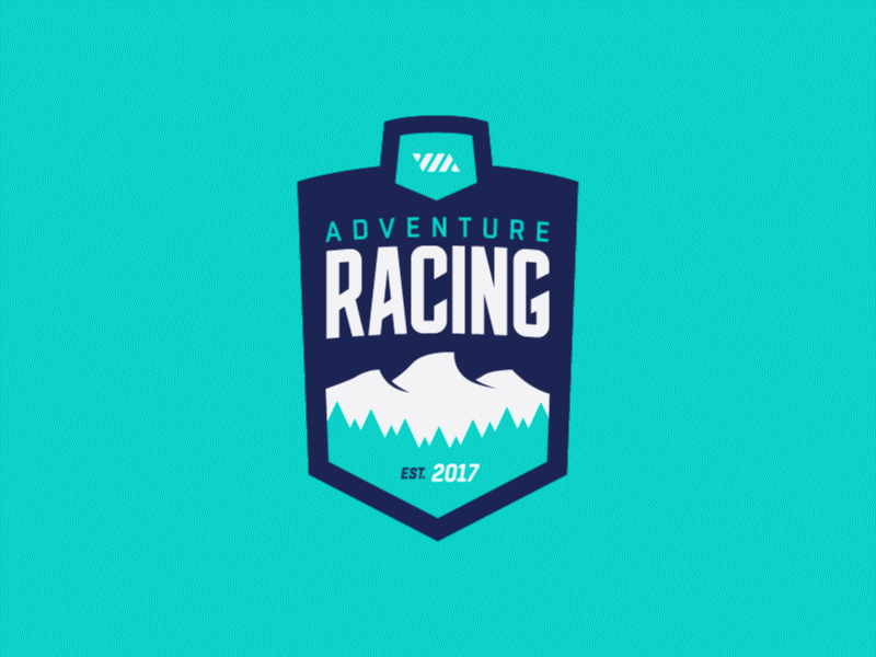 Example of Racing Logo Development