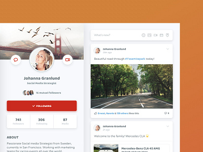 Desktop User Profile - Feed card cards content details feed interaction interface ui user profile userinterface ux webdesign