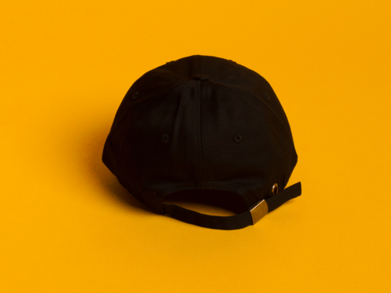 (not just for) Dad Hats dad hat hat