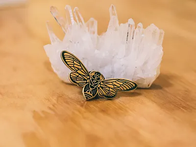 17 Year Cicada Pin antique gold black cicada enamel pin gold hard enamel insect nature pin