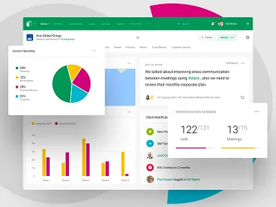 BNP Paribas - Client Overview 360 analytics app bank client crm dashboard design interface ui user ux web