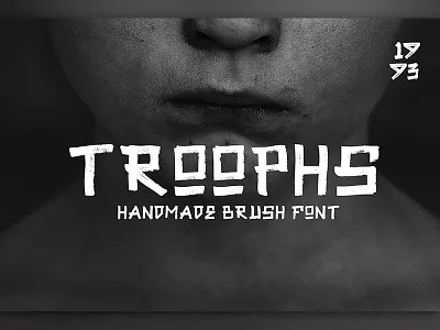 Troophs - Brush Fonts download fonts handmade handwritten lettering script sharpie typography writing