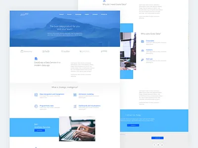 Grata Data Landing Page blue gratadata homepage landing page material deisgn minimal web design website