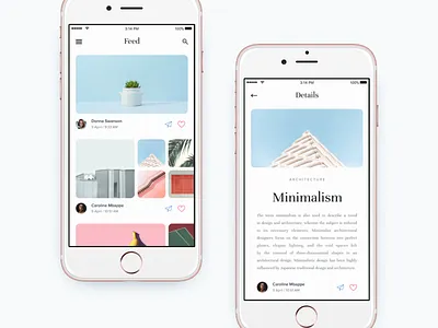 Feed and Details page app article dashboard ebook ios kit minimal mobile news social story ui