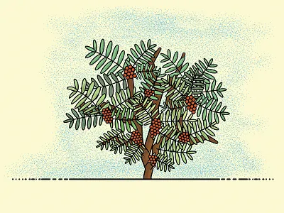 Orange Berry Bush bushes foliage illustrator plants sketching texture vector