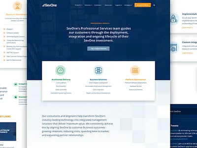 SevOne Services Page corporate it services sevone tech