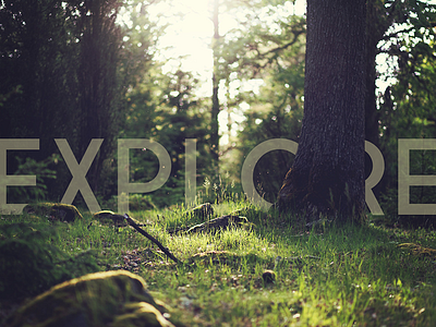Explore desert explore forest lake nature ocean wanderlust