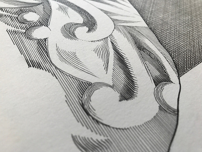 Donna crosshatching details ink micron patterns