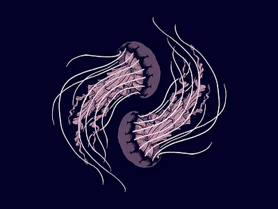Jellyfish design illustration jellyfish nature pattern sea creatures