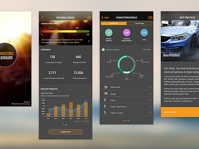 Dealer Analytics App ios