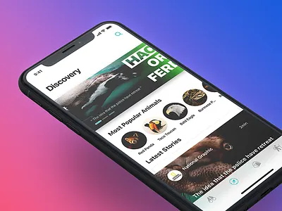 Nature Watch | Discovery animal app birds discovery ios11 iphonex mobile nature naturewatch ui