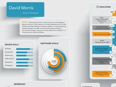 Graphical Resume education employment layout resume skills typography