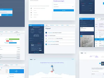 Seed Web App banking bill pay chart dashboard passport receipts reports rocket stepper tabs transactions web app