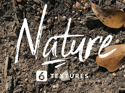 Texture Pack - Nature adventure bark beach dirt foliage forest grass leaves nature outdoor rock texture