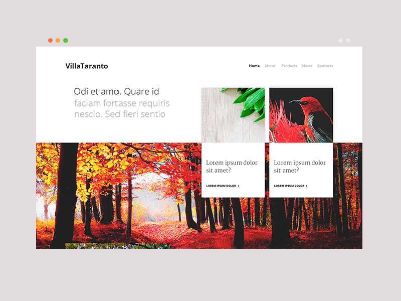 Concept 12 - Villa Taranto concept daily garden landing page single taranto ui