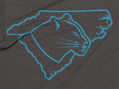 The Black Cats of Carolina big cat carolina panthers panther sports sports branding sports design sports logo
