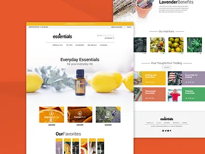UX Shopify Template Design design health shopify softwaredevelopment template ux webdesign webdevelopment