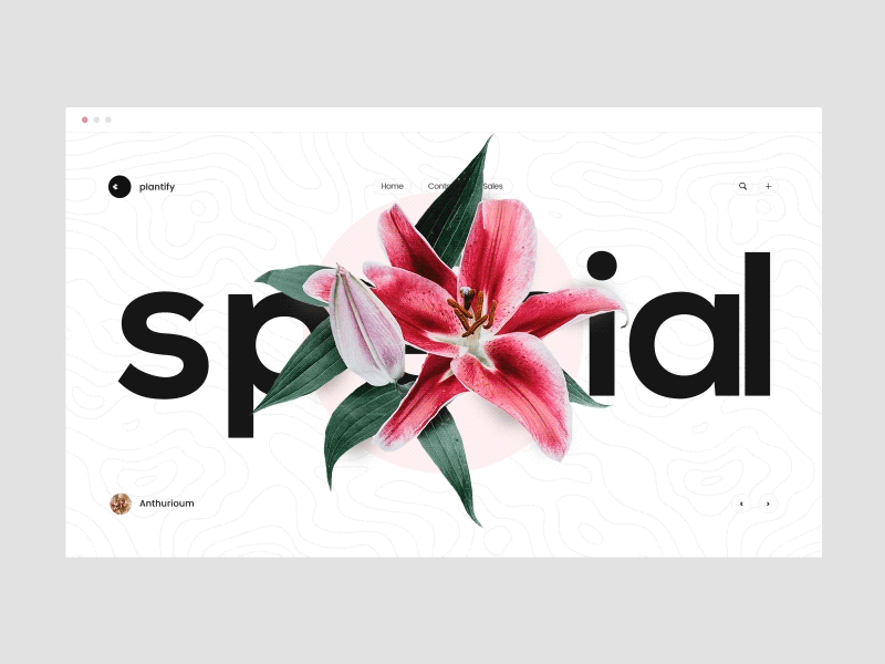 plantify blue gradient graphic design minimalistic select ui ux web design white