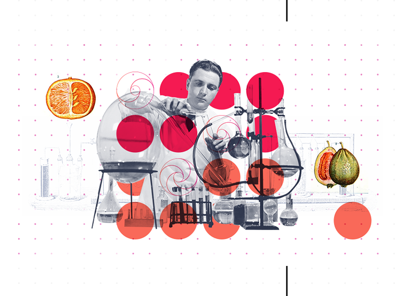 Example of Opticon Infographic Collage