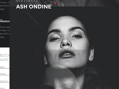 Stylist app clean dark light mobile modern salon sketchapp tech web